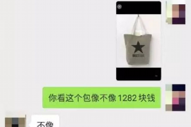 潼南潼南专业催债公司的催债流程和方法